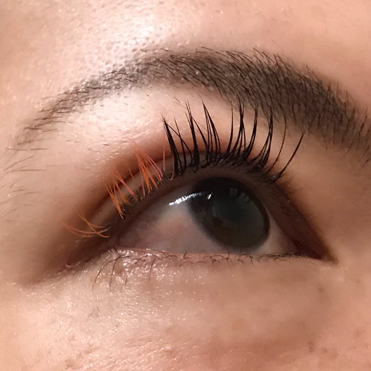 2B614465-1FC5-40A7-A1AB-5DB8FBD93428