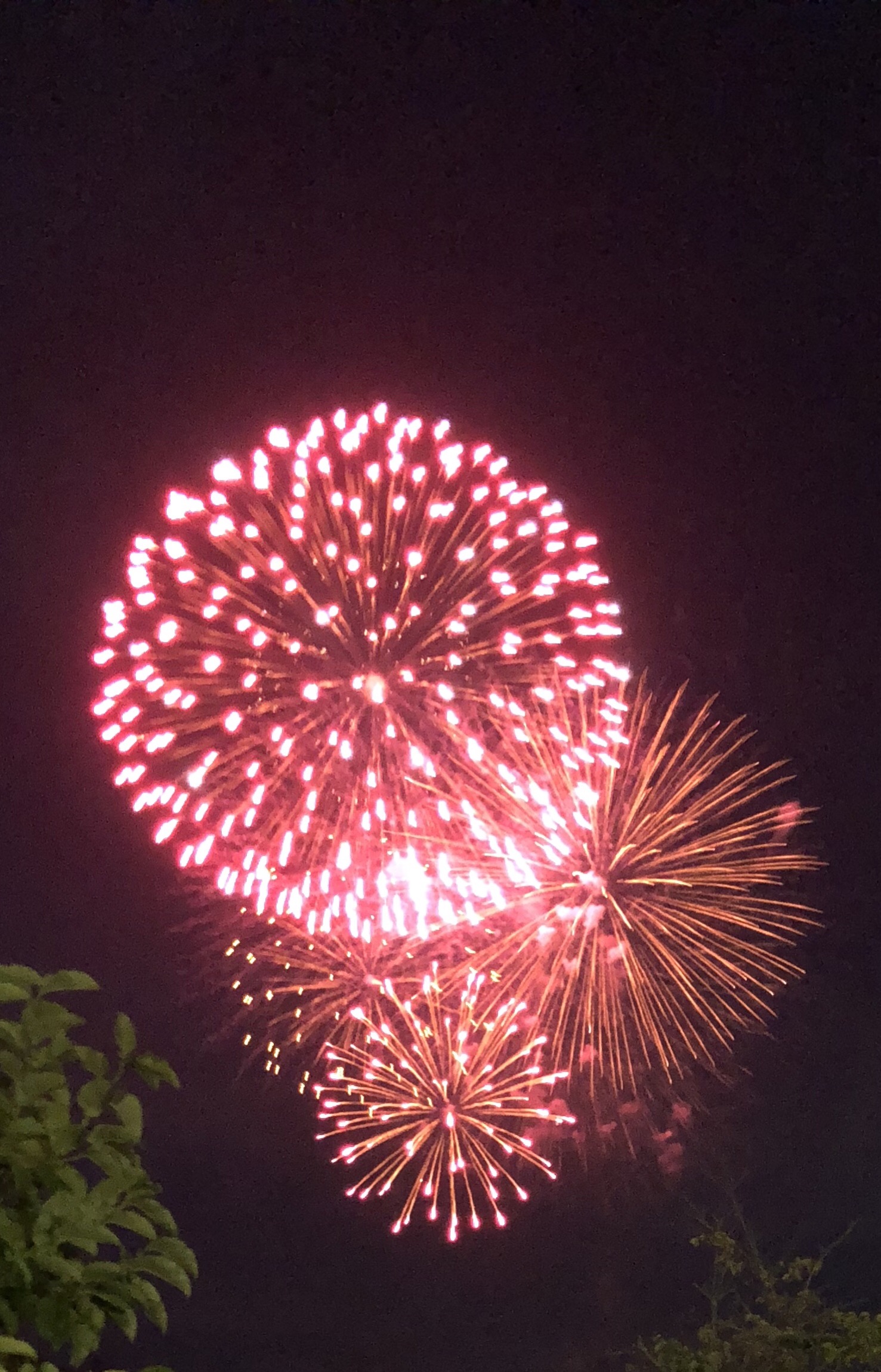 CE98E509-2EAC-419E-AA37-3FCF45EB2DCE