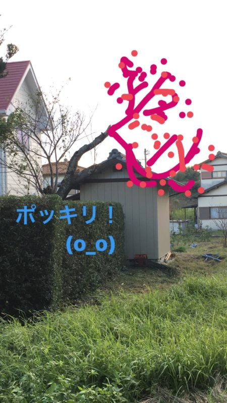 7E719E8C-842C-469C-85FF-2480BF1F5A92