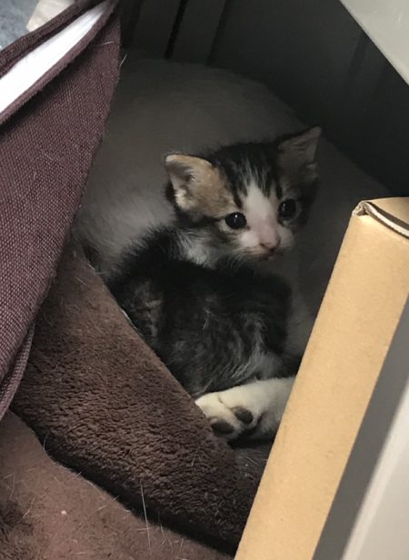 E4657B3F-8EE0-441D-A416-4D96A9A3D81B