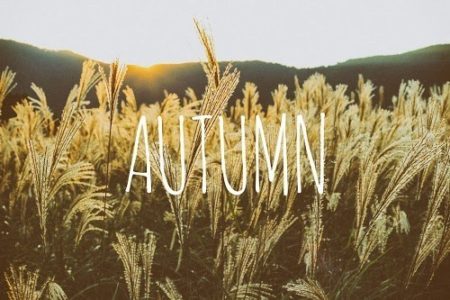 autumn_s