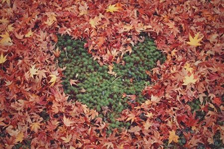 leaf_heart_s