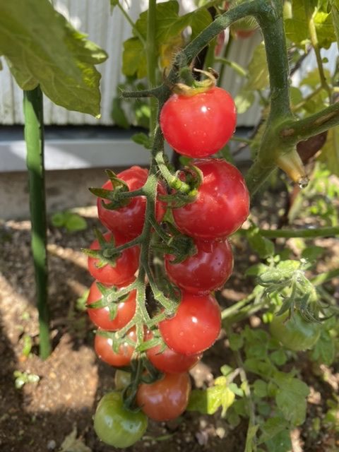 01CD066C-08DB-4EA3-B3A7-CBD435333BF4