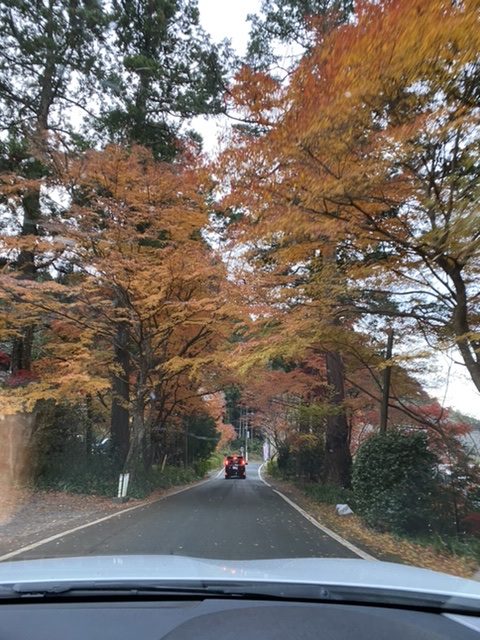 22784C1A-723B-4732-9C2D-6AB77CD1BF94