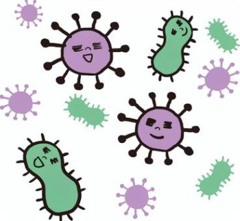 EB8BC90E-277A-474C-8C09-AAC13270A79E